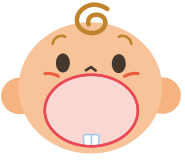 6ヵ月頃の歯