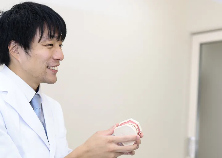 歯の模型を使って説明する歯科医師