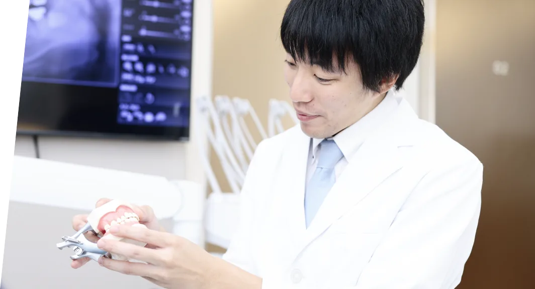 歯の模型を使って説明する歯科医師